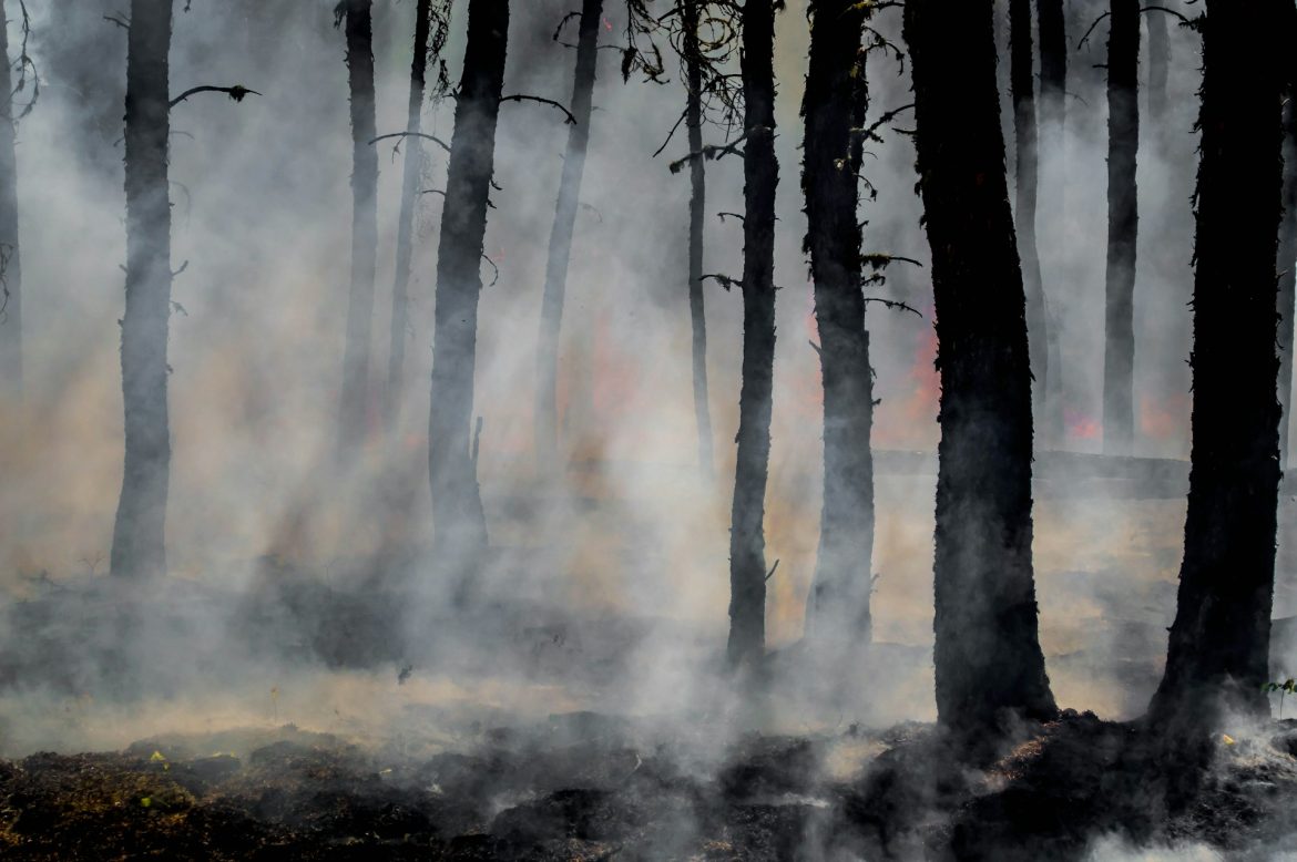 Comissão Europeia Apoia Portugal no Combate a Incêndio na Madeira